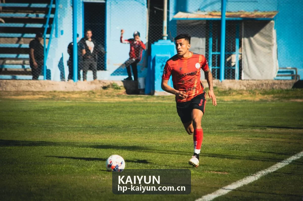KAIYUN体育专题研究资料合集封面